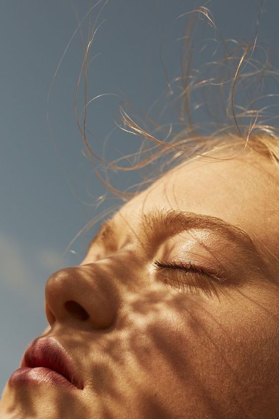 L-Teanina: O Aminoácido Que Promove Relaxamento e Foco Sem Sonolência